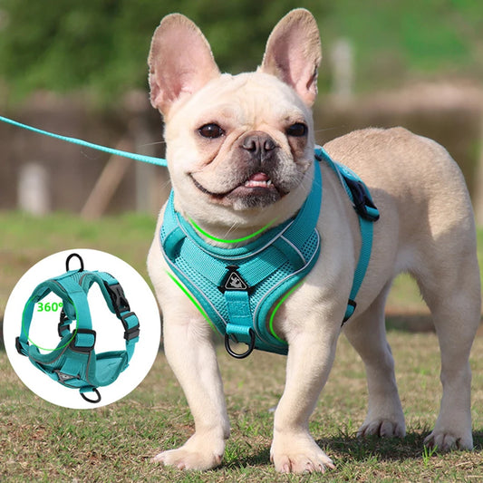 No Pull Dog Harness and Leash Set Adjustable Pet Harness Vest